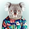 Koala Power (12)