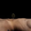 Miniature landscape on woman's body mini... (12)