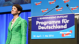 I d_love_to_lick_conservative_Frauke_Petry s_shoes (22/43)
