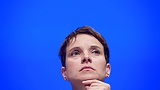 I d_love_to_lick_conservative_Frauke_Petry s_shoes (18/43)