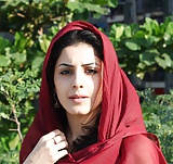 Hot Indian muslim actress (35)