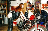 Biker_Chick_-_Red_hair_and_chaps (2/13)