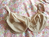 Used_G_cup_bras (4/26)