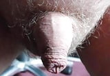 Best_Close_Up_Pics_Of_Other_Small_Uncut_Cocks_Vol1 (2/19)