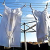 -snap_crotch_underwear_on_clothesline (9/11)