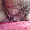 Favorite_Hairy_Pussy_3 (24/47)