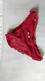 GF's Panties (6)