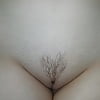 My wife_s pussy shaved with design (3/6)