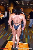 Tina_Zampa_-_female_bodybuilder (21/27)