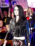 WWE_Divas _Paige (22/33)
