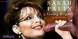 Political_Fakes-Sarah_Palin (16/43)