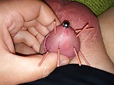 needles in my cock and balls (12/16)