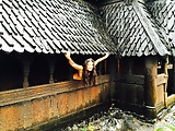 VIKING_Church_Stave_in_Norway_2014 (6/9)